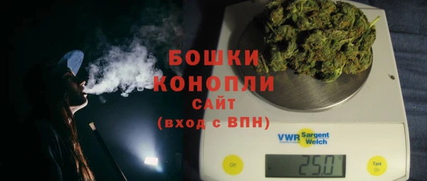 гидра Заволжье