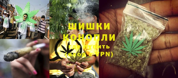 гидра Заволжье