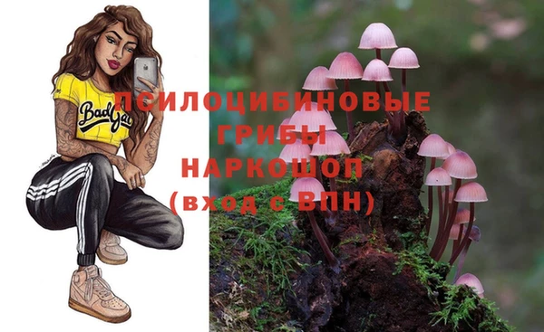 ПСИЛОЦИБИНОВЫЕ ГРИБЫ Заволжск