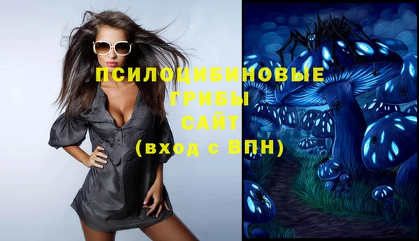ПСИЛОЦИБИНОВЫЕ ГРИБЫ Заволжск