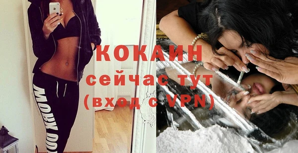 сатива Вуктыл