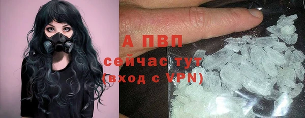 гидра Заволжье